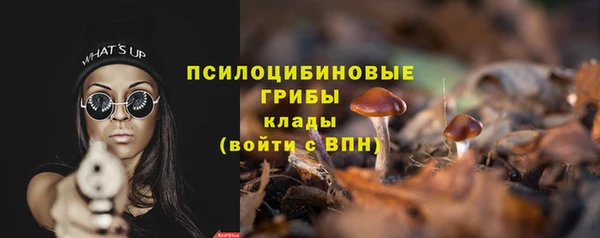дмт Верхний Тагил